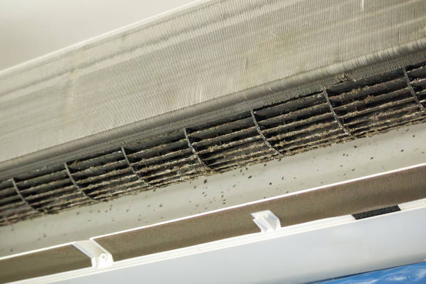 Best Professional Duct Cleaning Services  in Miami Gardens, FL